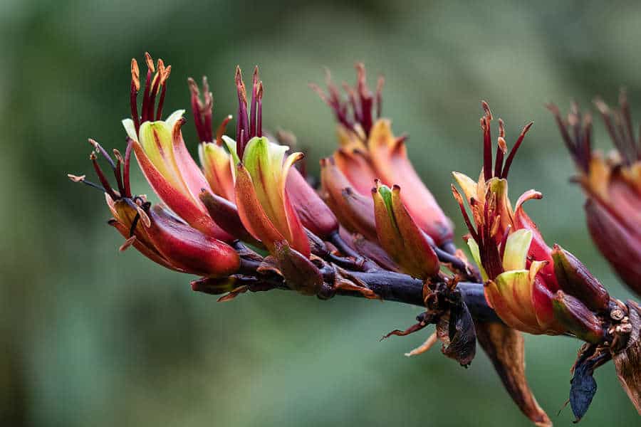 Mega Menu News Events Resilience Platform